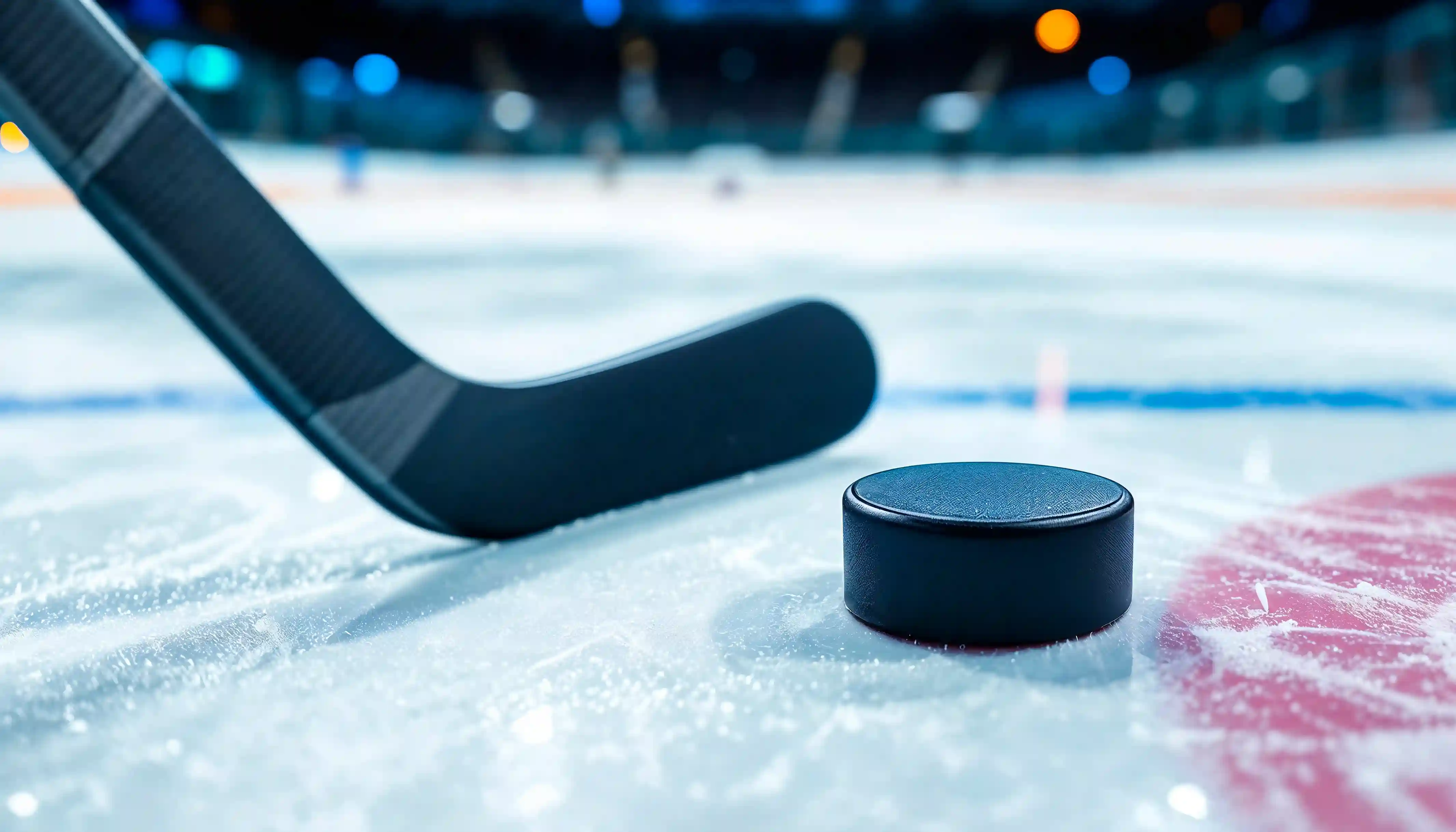 Professional hockey training